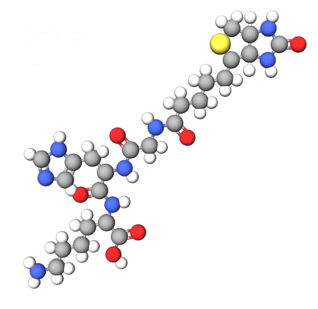 Biotinoyl Tripeptide 1 Biotin Vitamin B7 Tripeptide 1 Ingredient 