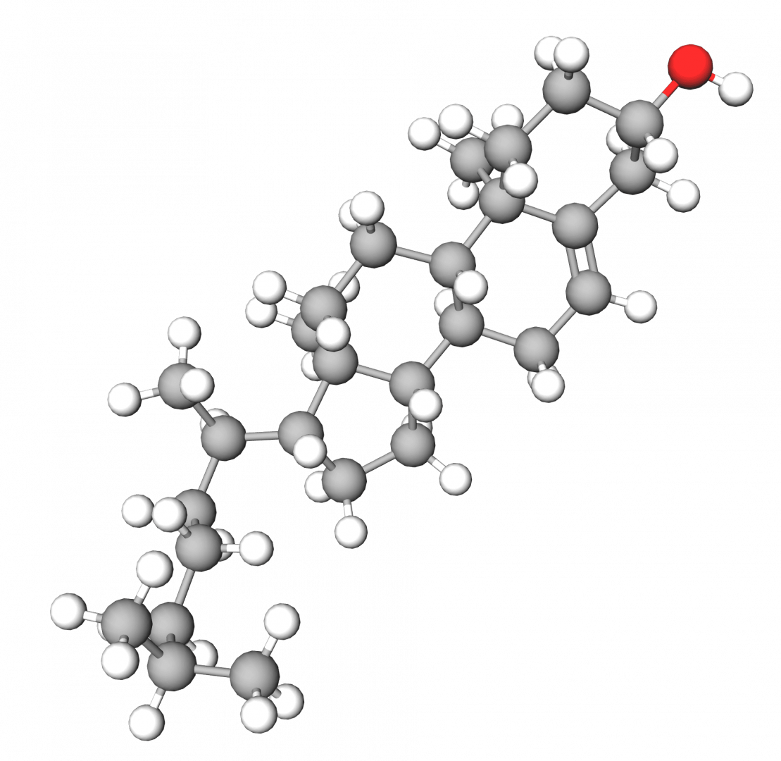 Cholesterol Cholesterinum INCIGuide