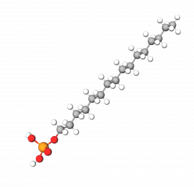 Cetyl Phosphate