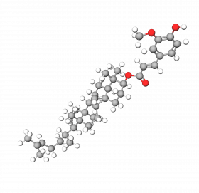 γ-Oryzanol