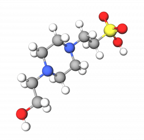 Hydroxyethylpiperazine Ethane Sulfonic Acid (HEPES)