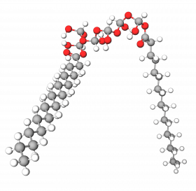 Polyglyceryl-6 distearate