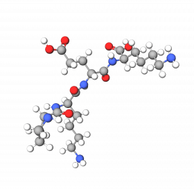 peptide PKEK