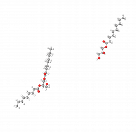 Caprylic/Capric Glycerides