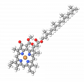 Chlorophyllin-Copper Complex