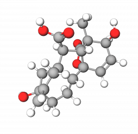 Gibberellic Acid