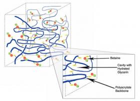 Glyceryl/Betaine Polyacrylate