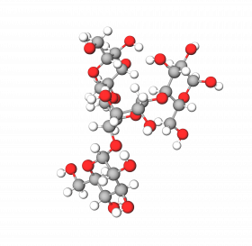 Phytoglycogen structure