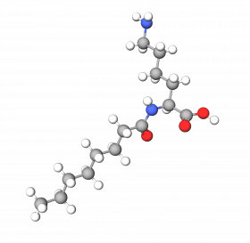 N-Capryloyl Lysine