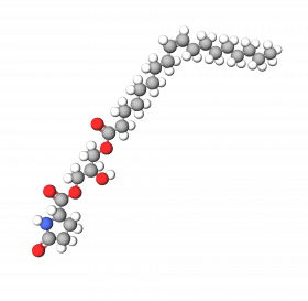 PCA Glyceryl Oleate