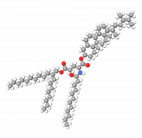 Phytosteryl/Octyldodecyl Lauroyl Glutamate