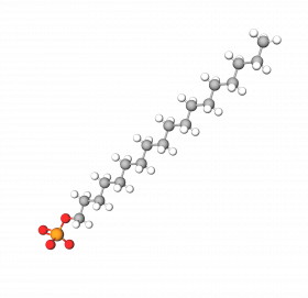 Stearyl Phosphate