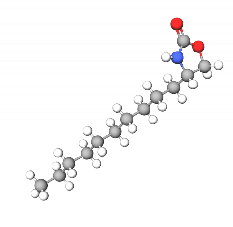 4-Decyl-1,3-oxazolidin-2-one