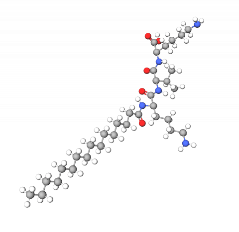 Syn®-Coll (Palmitoyl Tripeptide-5)