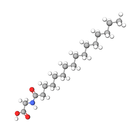 Palmitoyl Glycine