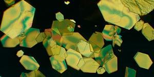 apocarotenal crystals