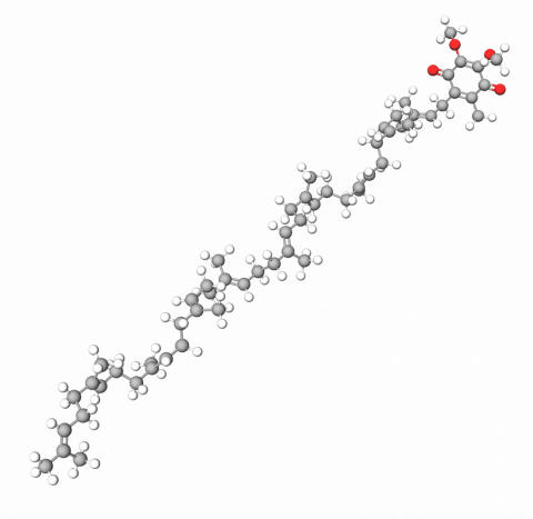 Coenzyme Q10