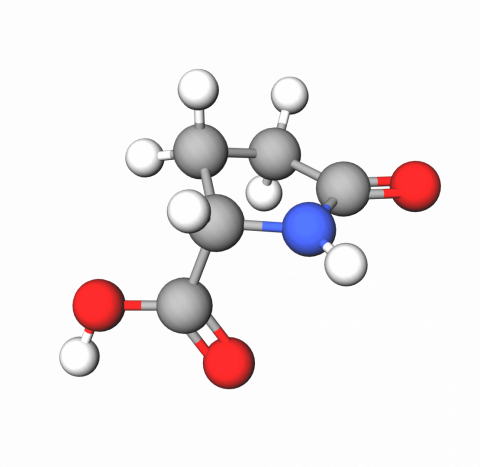 2-pyrrolidone-5-carboxylic acid