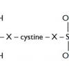 Cystine Bis-PG-Propyl Silanetriol