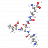 Acetyl Tripeptide-30 Citrulline Acetyl Tripeptide-30 Citrulline
