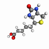 Biotin (Vitamin B7)