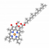 Chlorophyllin-Copper Complex