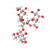 Phytoglycogen structure