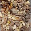 Myrrh (Commiphora Myrrha) Resin Extract
