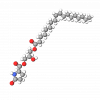 PCA Glyceryl Oleate