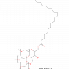 Polysorbate 81